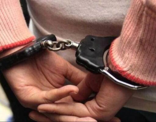 Detenida mujer en Zulia por presunto maltrato cruel y explotación de sus tres hijos menorese